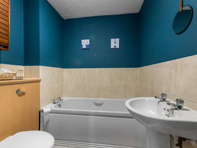 Picture 10